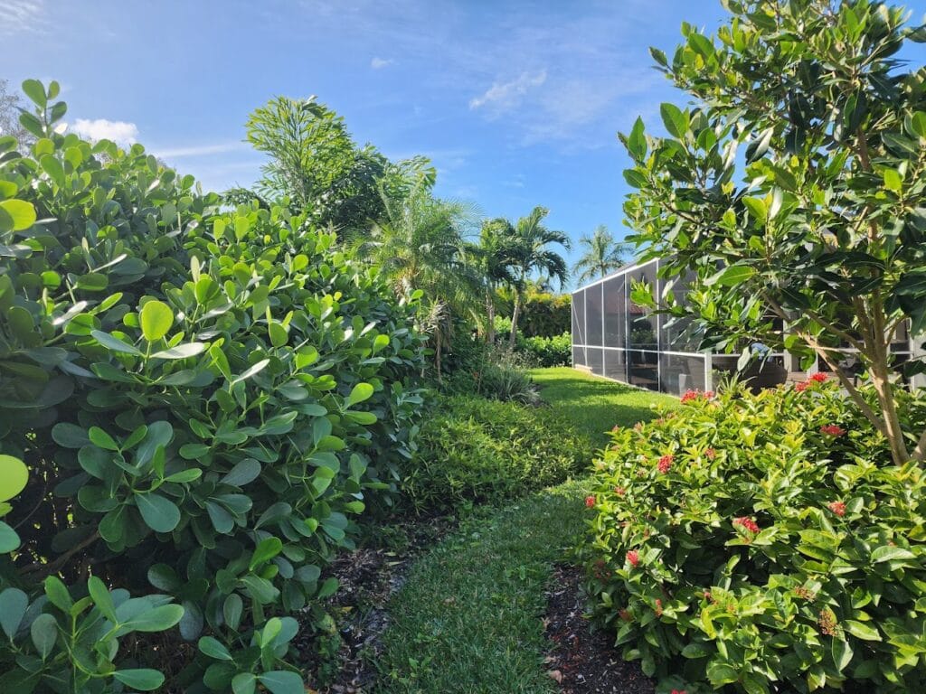 cape-corel-lawn-garden