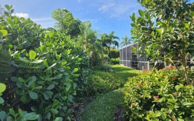 Cape Coral Lawn Care Reviewed: Reliable Lawn Care & Yard Maintenance