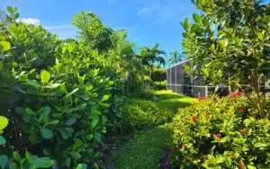 garden-maintenance
