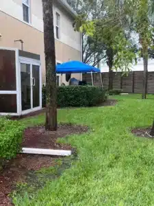 dv