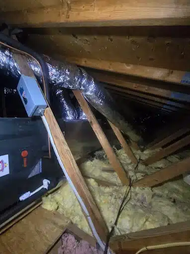 fv
