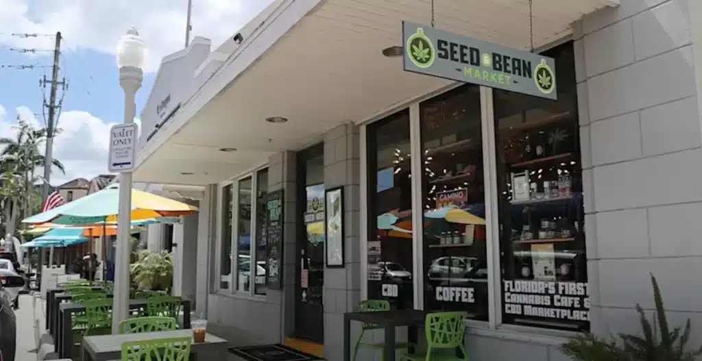 seedbean3
